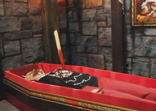 Vampire in a coffin