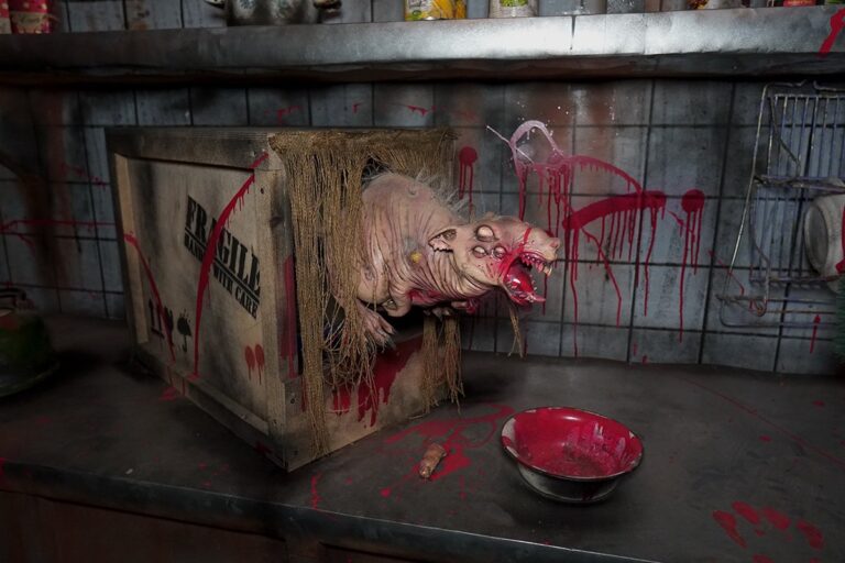 Rat mutant