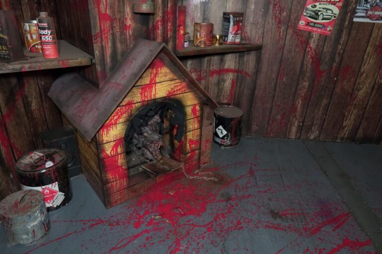 Dog in a booth