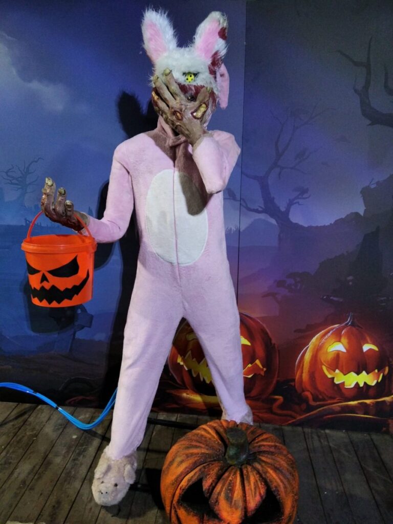 Masked rabbit