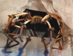 Spider from the wall