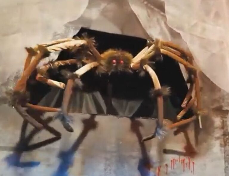 Spider from the wall