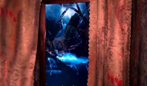 Raven Broken Window 2