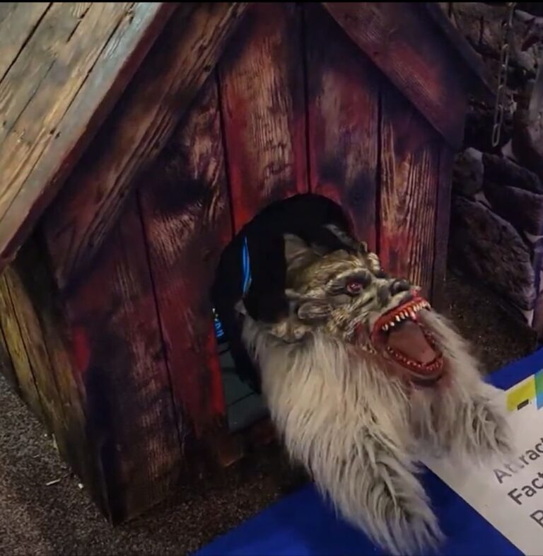 Dog in the booth