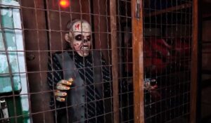 Zombies in the electrical room