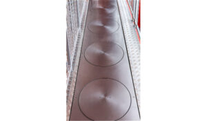 Rotating discs